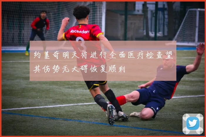 约基奇明天将进行全面医疗检查望其伤势无大碍恢复顺利